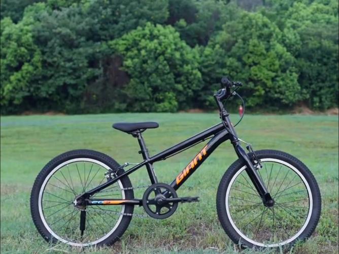 青少年自行車(chē)推薦:xtc 24系列,atx20-s