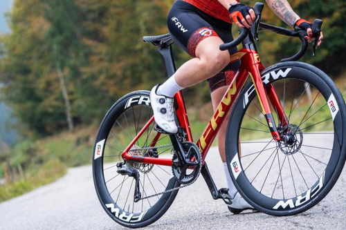 世界名牌自行車前十名福倫王土撥鼠進口中國自行車最好的三個品牌