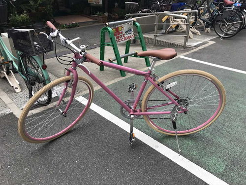 新自行車的魅力與選擇指南